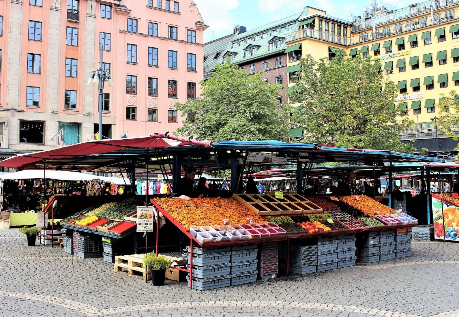 Swieze warzywa i owoce na bazarze