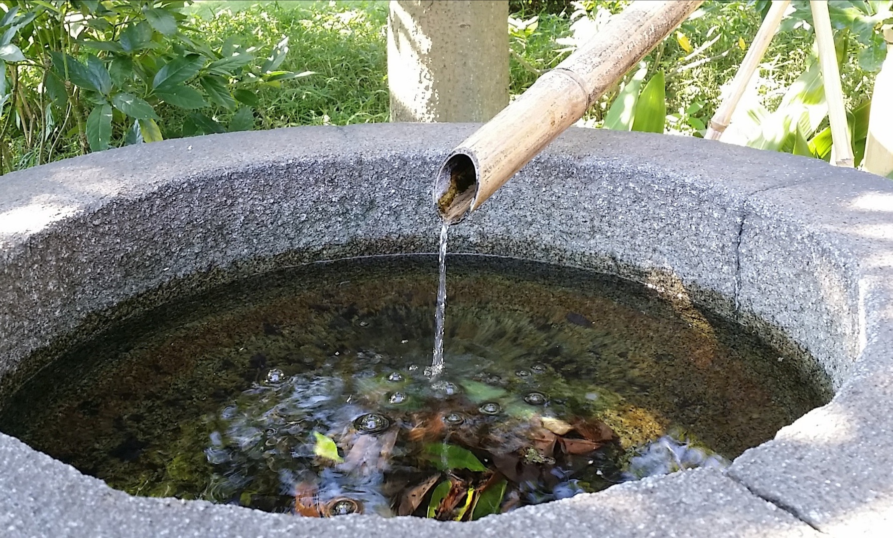 Fresh spring water